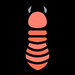 Diagnostic Termites à Angers - Sécurisez durablement votre bien
